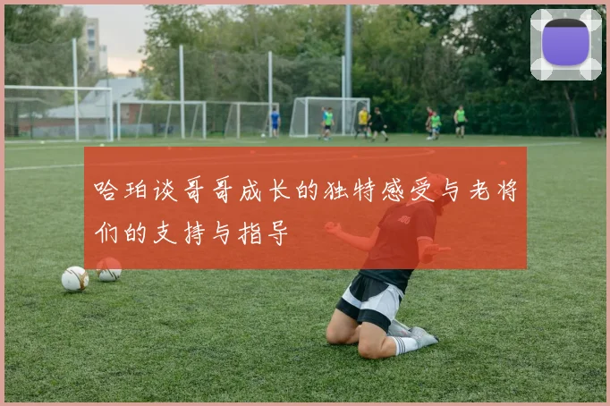 哈珀谈哥哥成长的独特感受与老将们的支持与指导